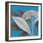 Botaniska I-Maria Mendez-Framed Giclee Print