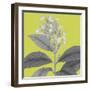 Botaniska V-Maria Mendez-Framed Giclee Print