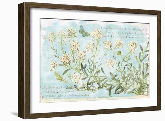 Botany Blue I-Sue Schlabach-Framed Art Print