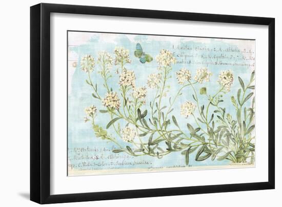 Botany Blue I-Sue Schlabach-Framed Art Print