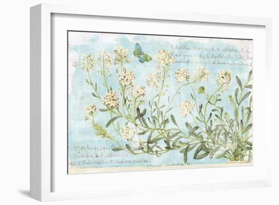 Botany Blue I-Sue Schlabach-Framed Art Print