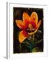 Botany Fleur II-Georgie-Framed Giclee Print