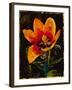 Botany Fleur II-Georgie-Framed Giclee Print