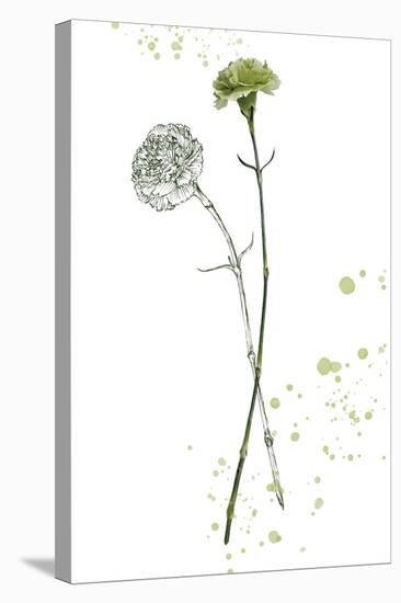 Botany Flower III-Melissa Wang-Stretched Canvas