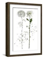 Botany Flower IV-Melissa Wang-Framed Art Print