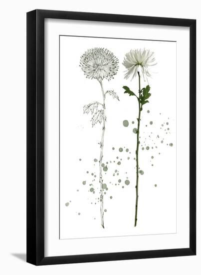 Botany Flower IV-Melissa Wang-Framed Art Print