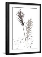 Botany Flower VI-Melissa Wang-Framed Art Print