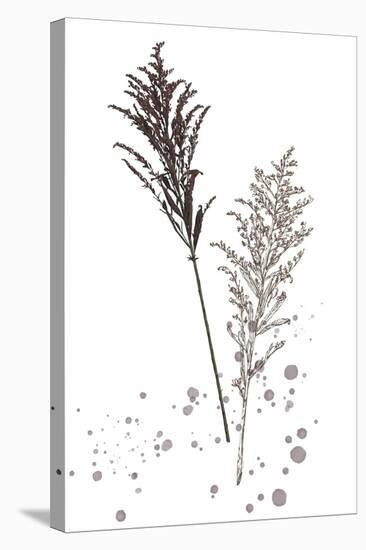 Botany Flower VI-Melissa Wang-Stretched Canvas