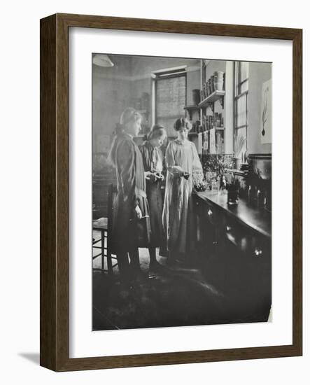 Botany Lesson, Chelsea Secondary School (Hortensia Road School), London, 1911-null-Framed Photographic Print