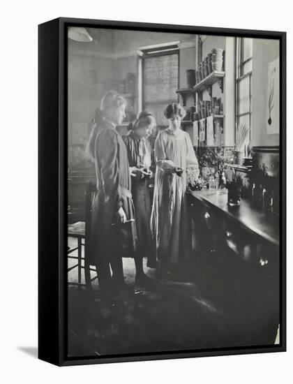 Botany Lesson, Chelsea Secondary School (Hortensia Road School), London, 1911-null-Framed Stretched Canvas