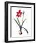 Botany: Lily-Pierre-Joseph Redouté-Framed Premium Giclee Print