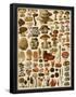 Essential Black