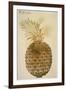 Botany: Pineapple, 1585-John White-Framed Premium Giclee Print