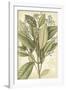 Botany Sketchbook II-Maria Mendez-Framed Giclee Print