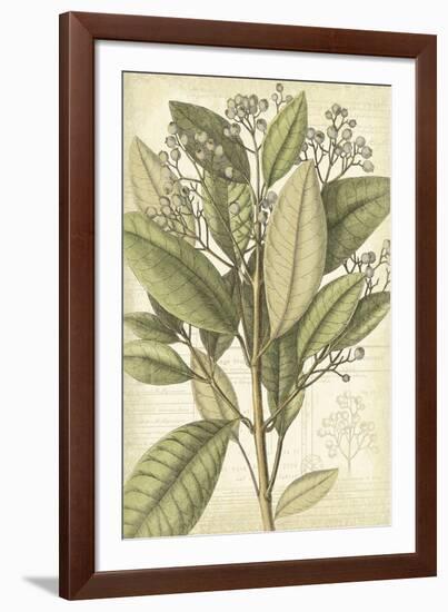 Botany Sketchbook II-Maria Mendez-Framed Giclee Print