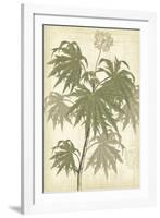 Botany Sketchbook III-Maria Mendez-Framed Giclee Print