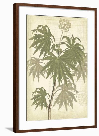 Botany Sketchbook III-Maria Mendez-Framed Giclee Print