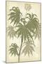 Botany Sketchbook III-Maria Mendez-Mounted Giclee Print
