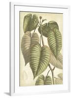 Botany Sketchbook IV-Maria Mendez-Framed Giclee Print