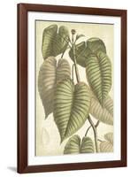 Botany Sketchbook IV-Maria Mendez-Framed Giclee Print