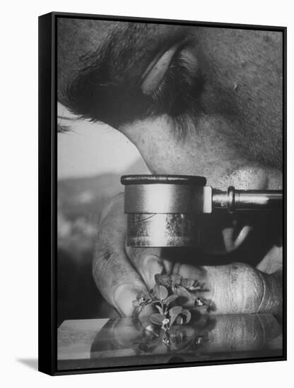 Botany Student Looking at a Flower Through a Microscope-Loomis Dean-Framed Stretched Canvas
