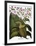 Botany: Tobacco Plant-Besler Basilius-Framed Giclee Print