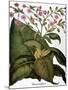 Botany: Tobacco Plant-Besler Basilius-Mounted Giclee Print