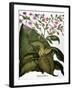 Botany: Tobacco Plant-Besler Basilius-Framed Giclee Print