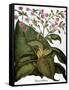 Botany: Tobacco Plant-Besler Basilius-Framed Stretched Canvas