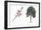 Botany, Trees, Rosaceae, Peach Prunus Persica and Branch with Flowers-null-Framed Giclee Print