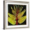 Botany Trip VIII-Douglas-Framed Giclee Print
