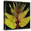 Botany Trip VIII-Douglas-Stretched Canvas