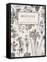 Botany. Vintage Floral Card. Vector Illustration of Style Engravings. Black and White Flowers.-Olga Korneeva-Framed Stretched Canvas