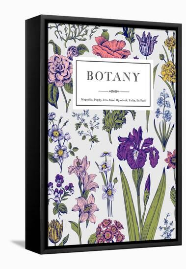 Botany. Vintage Floral Card. Vector Illustration of Style Engravings. Colorful Flowers with Blue Ou-Olga Korneeva-Framed Stretched Canvas
