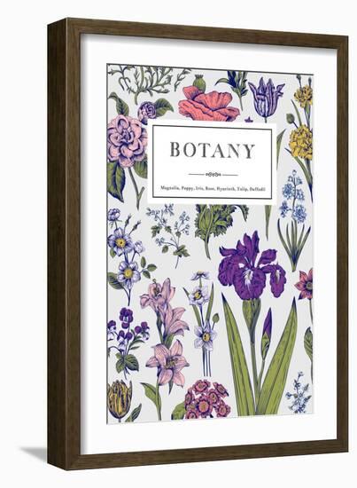Botany. Vintage Floral Card. Vector Illustration of Style Engravings. Colorful Flowers with Blue Ou-Olga Korneeva-Framed Art Print