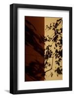 Both Sides-Sebastian Black-Framed Photo