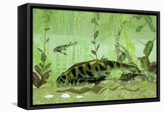 Bothriolepis, a Freshwater Bottom Feeder from the Devonian Period-null-Framed Stretched Canvas