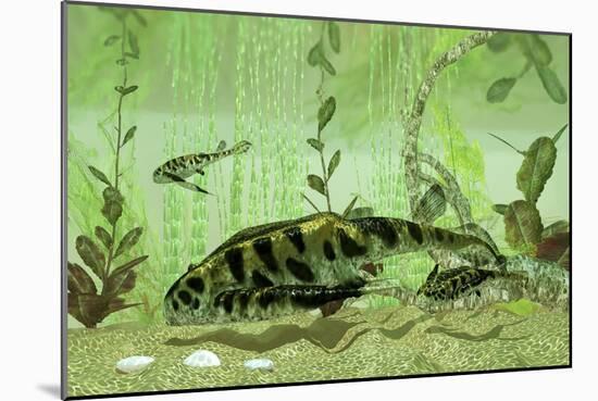 Bothriolepis, a Freshwater Bottom Feeder from the Devonian Period-null-Mounted Art Print