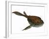 Bothriolepis, a Freshwater Detritivore from the Devonian Period-null-Framed Art Print