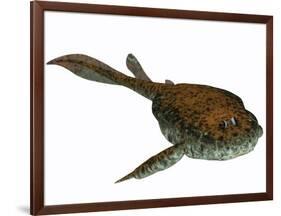 Bothriolepis, a Freshwater Detritivore from the Devonian Period-null-Framed Art Print