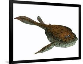 Bothriolepis, a Freshwater Detritivore from the Devonian Period-null-Framed Art Print