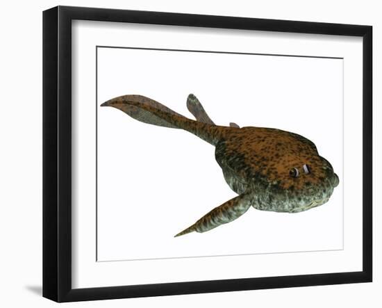 Bothriolepis, a Freshwater Detritivore from the Devonian Period-null-Framed Art Print