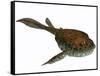 Bothriolepis, a Freshwater Detritivore from the Devonian Period-null-Framed Stretched Canvas