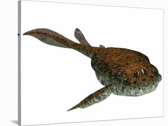 Bothriolepis, a Freshwater Detritivore from the Devonian Period-null-Stretched Canvas