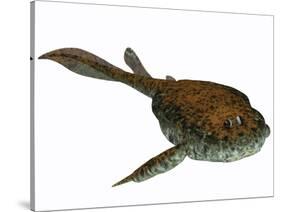 Bothriolepis, a Freshwater Detritivore from the Devonian Period-null-Stretched Canvas