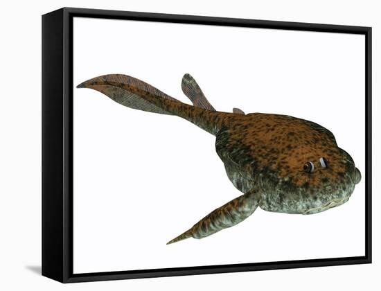 Bothriolepis, a Freshwater Detritivore from the Devonian Period-null-Framed Stretched Canvas