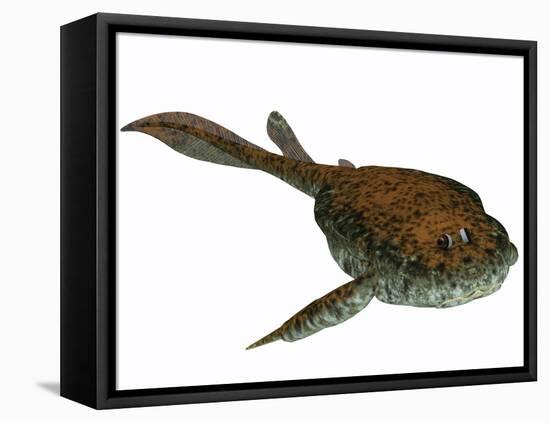 Bothriolepis, a Freshwater Detritivore from the Devonian Period-null-Framed Stretched Canvas