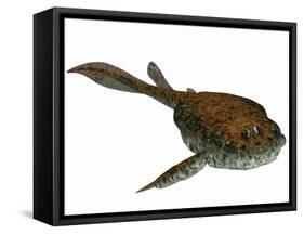 Bothriolepis, a Freshwater Detritivore from the Devonian Period-null-Framed Stretched Canvas