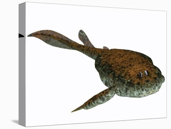 Bothriolepis, a Freshwater Detritivore from the Devonian Period-null-Stretched Canvas