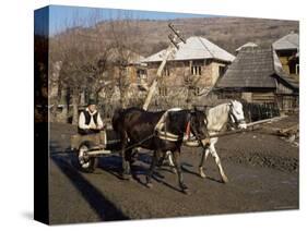 Botiba Village, Maramuresh Region, Romania-Liba Taylor-Stretched Canvas
